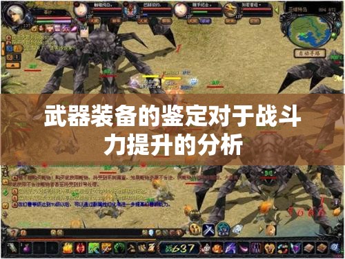 武器装备的鉴定对于战斗力提升的分析 - 魔域SF - www.12345my.com