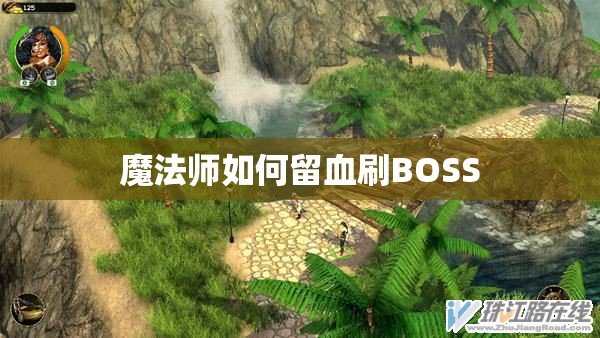 魔法师如何留血刷BOSS - 魔域SF - www.12345my.com