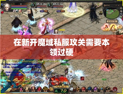 在新开魔域私服攻关需要本领过硬 - 魔域SF - www.12345my.com