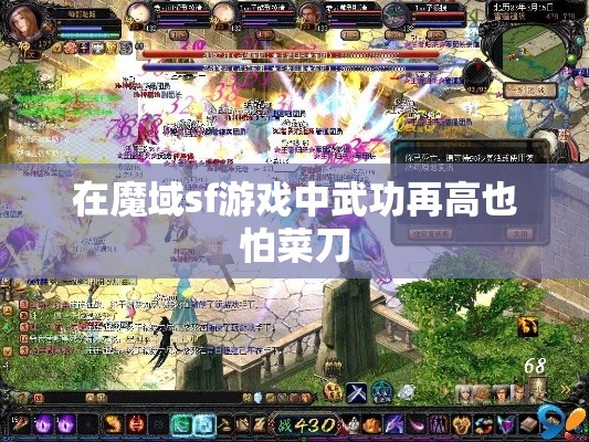 在魔域sf游戏中武功再高也怕菜刀 - 魔域SF - www.12345my.com