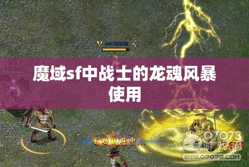 魔域sf中战士的龙魂风暴使用 - 魔域SF - www.12345my.com