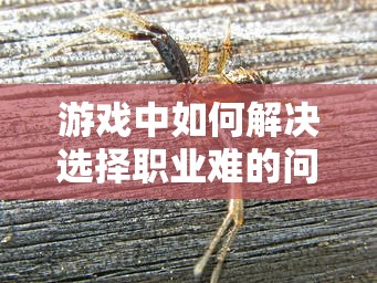 游戏中如何解决选择职业难的问题 - 魔域SF - www.12345my.com