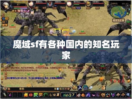 魔域sf有各种国内的知名玩家 - 魔域SF - www.12345my.com