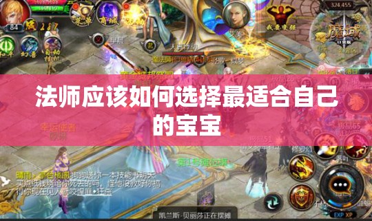 法师应该如何选择最适合自己的宝宝 - 魔域SF - www.12345my.com