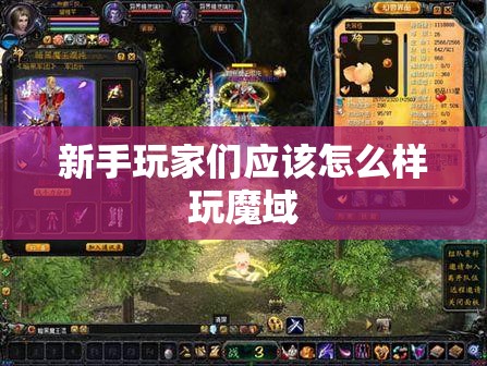 新手玩家们应该怎么样玩魔域 - 魔域SF - www.12345my.com