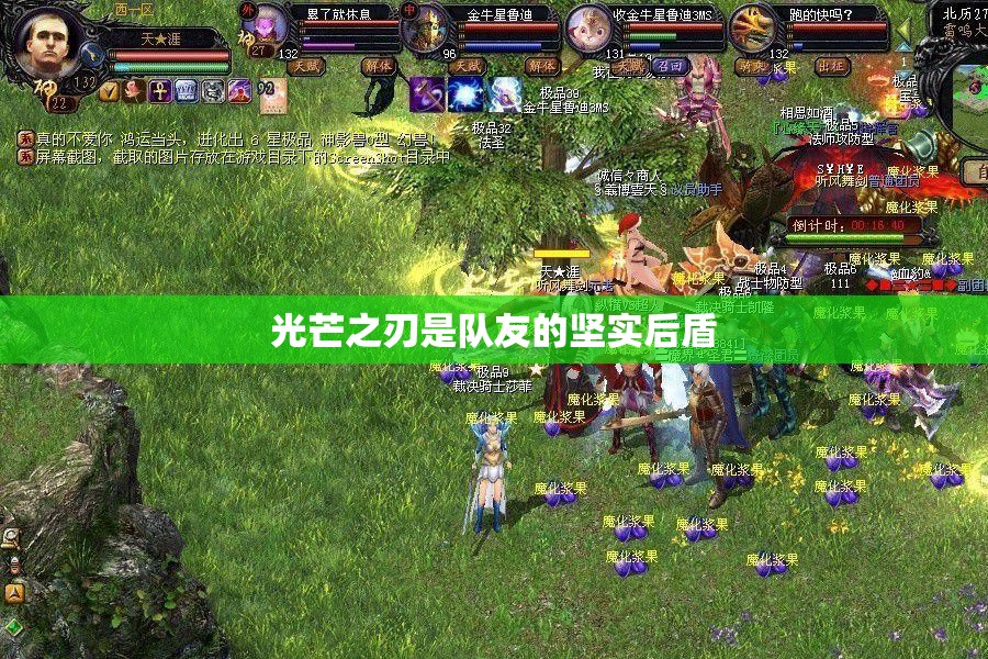 光芒之刃是队友的坚实后盾 - 魔域SF - www.12345my.com