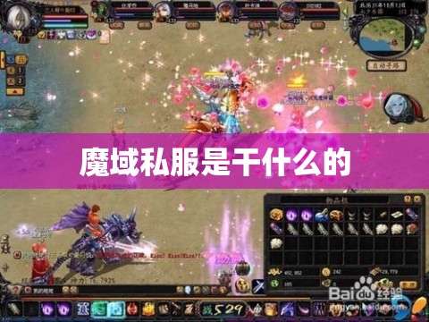 魔域私服是干什么的 - 魔域SF - www.12345my.com